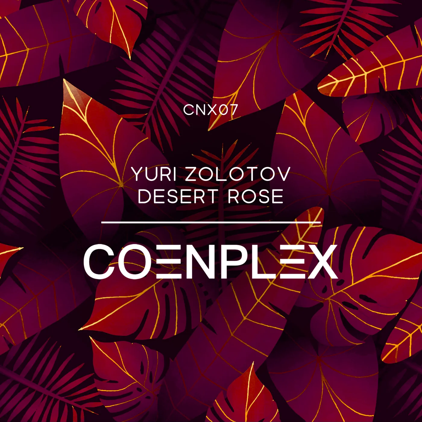 Yuri Zolotov - Desert Rose (Extended Mix)