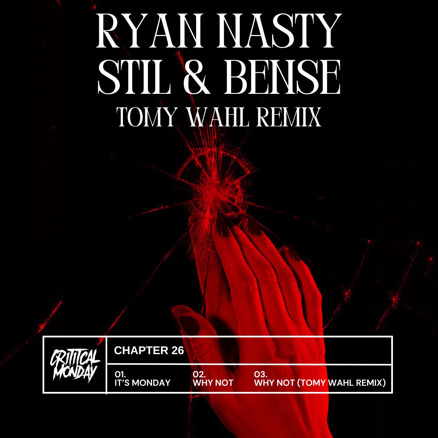 Ryan Nasty - Why Not (Tomy Wahl Remix)