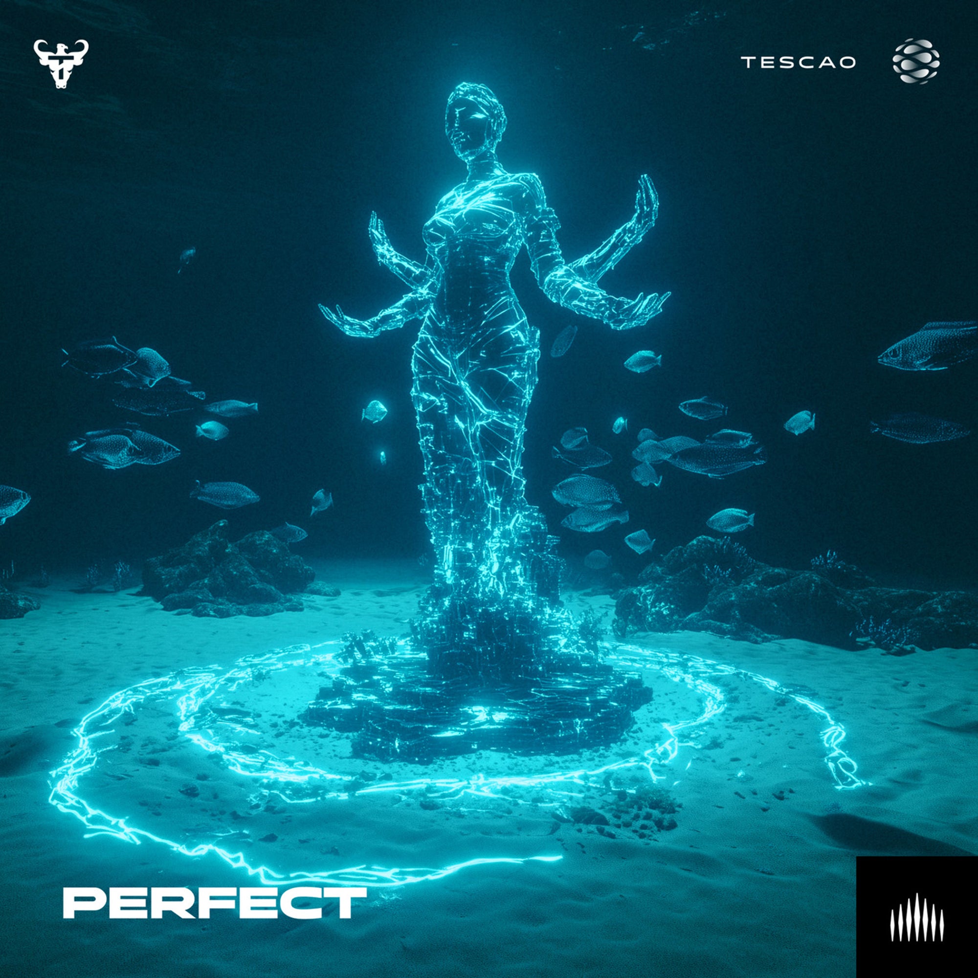 Tescao - Perfect (Original Mix)