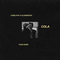 CamelPhat & Elderbrook - Cola (VOSSI Remix)