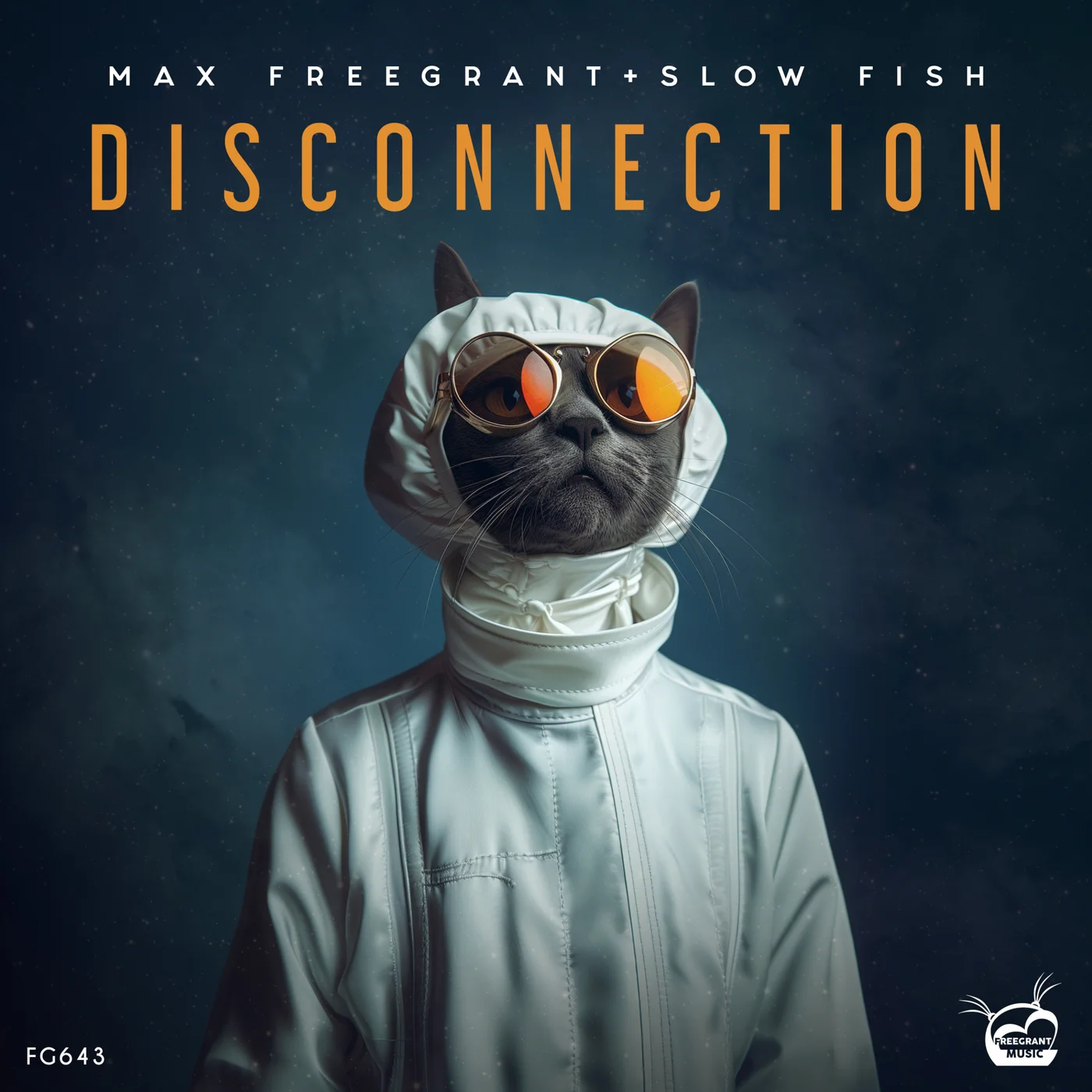 Max Freegrant & Slow Fish - Disconnection (Original Mix)