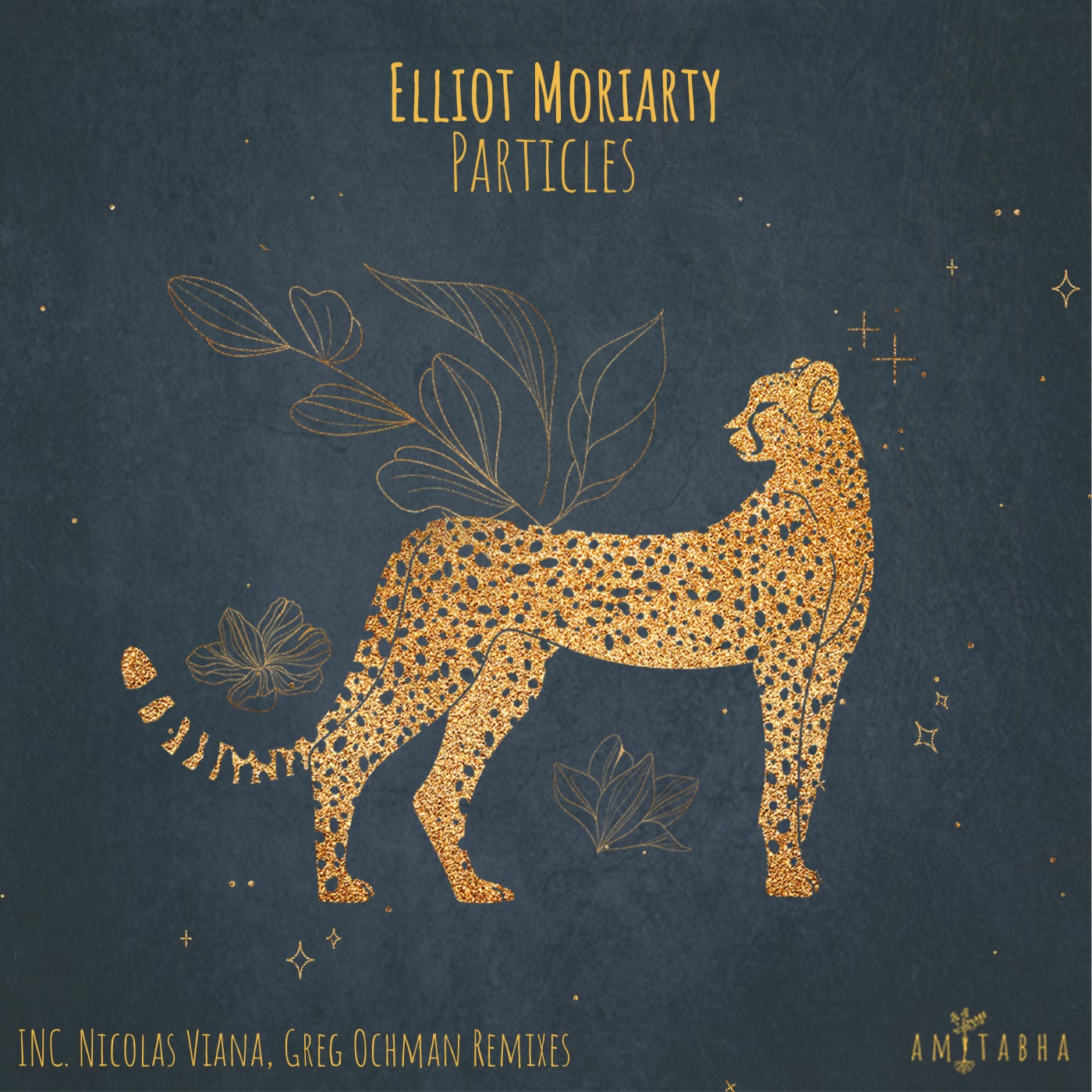 Elliot Moriarty - Particles (Nicolas Viana Remix)