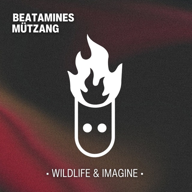 Beatamines, MÜTZANG - Imagine (Original Mix)