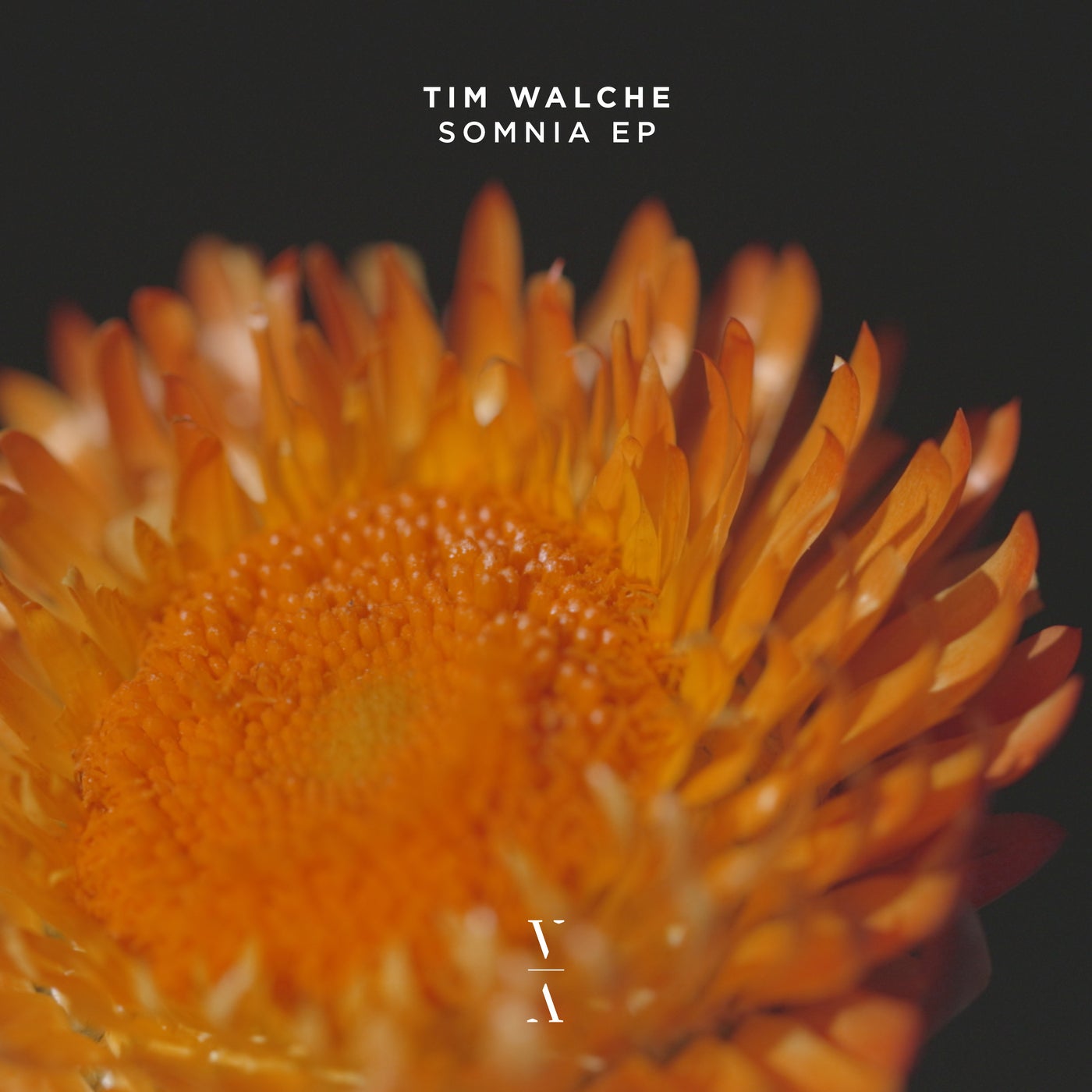 Tim Walche - I'll Be Your Light (Extended Mix)