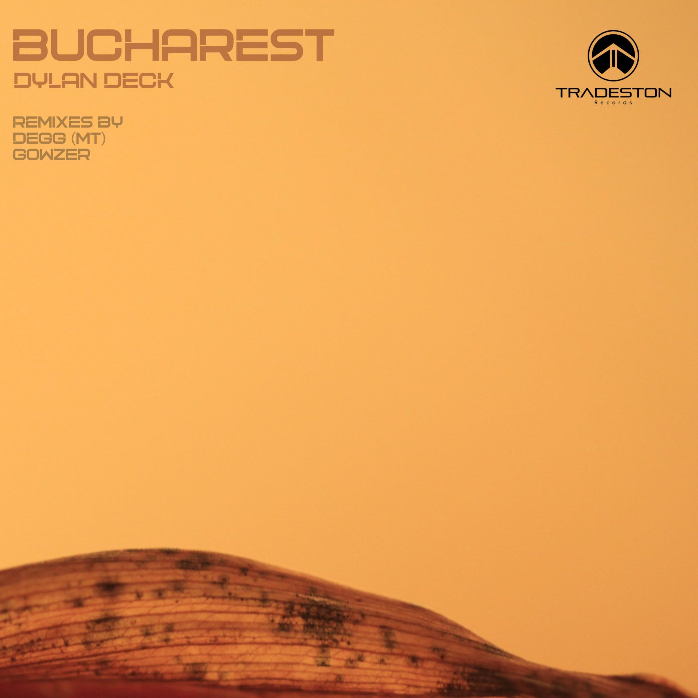 Dylan Deck - Bucharest (Gowzer Remix)