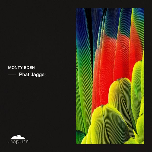 Monty Eden - Phat Jagger (Original Mix)