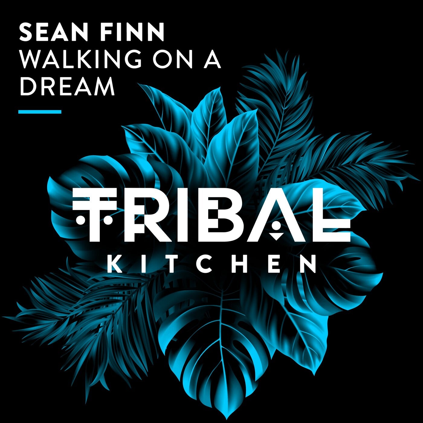 Sean Finn – Walking On A Dream (Extended Mix)