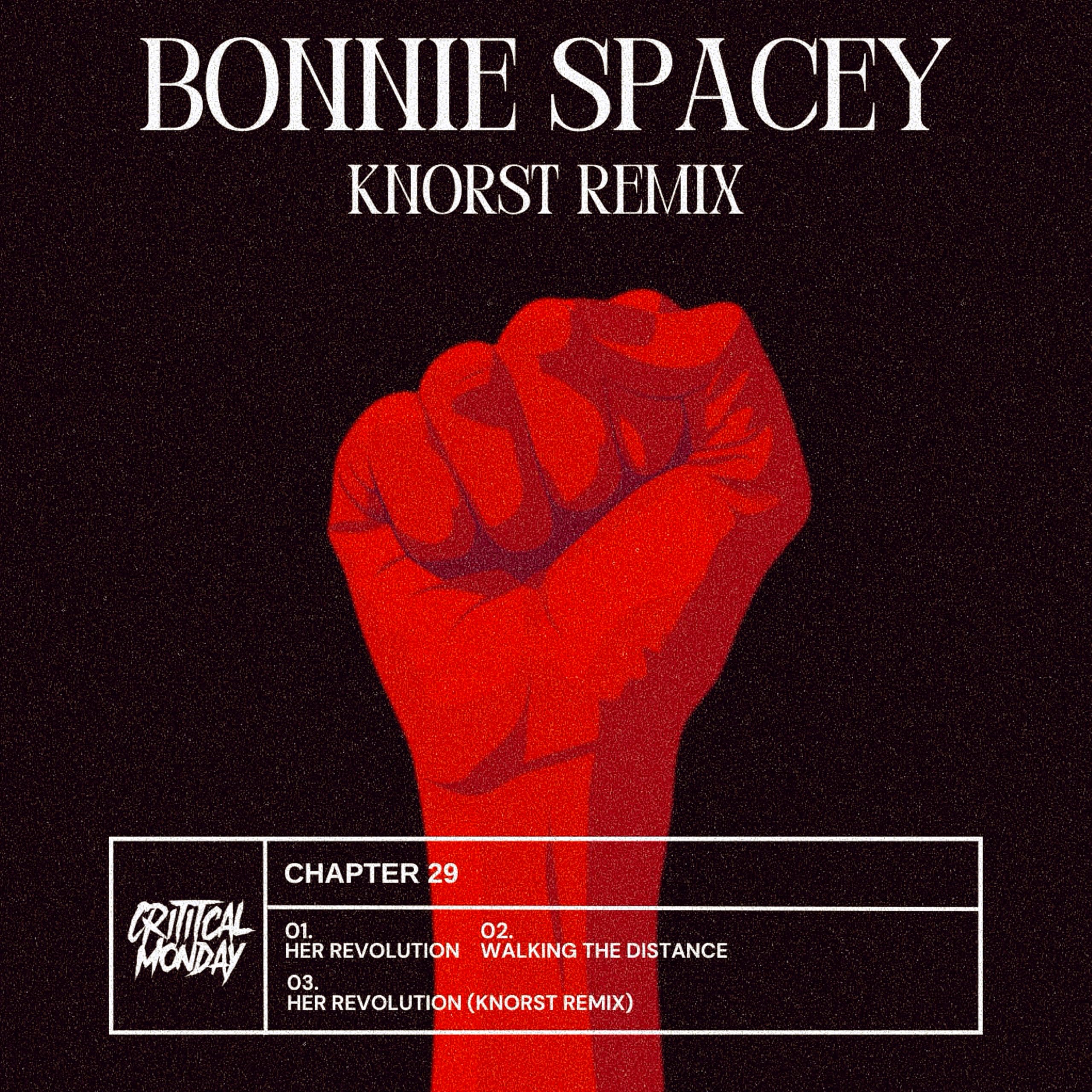 Bonnie Spacey - Walking The Distance (Original Mix)