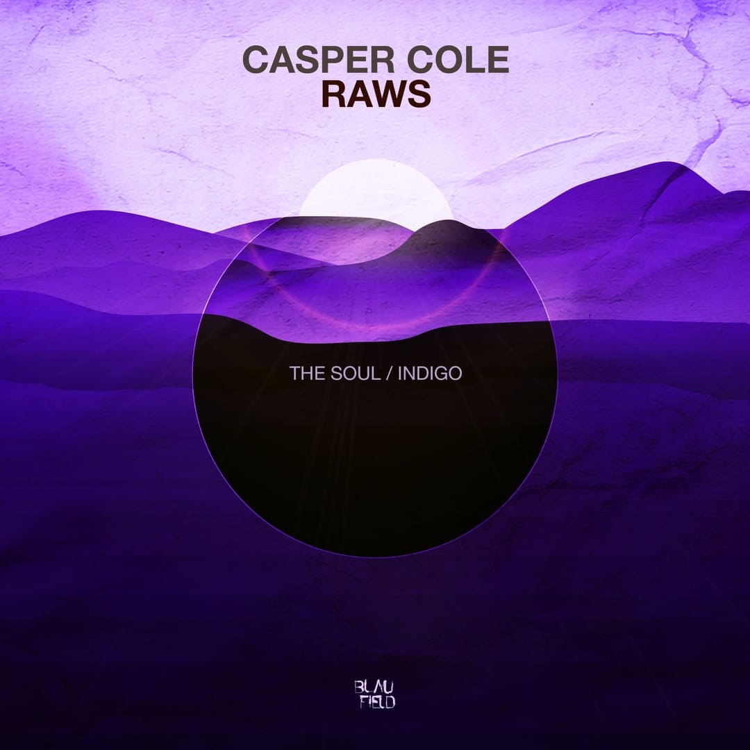 Casper Cole, Raws - The Soul (Original Mix)