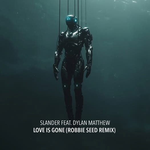 Slander Feat. Dylan Matthew - Love Is Gone (Robbie Seed Remix)