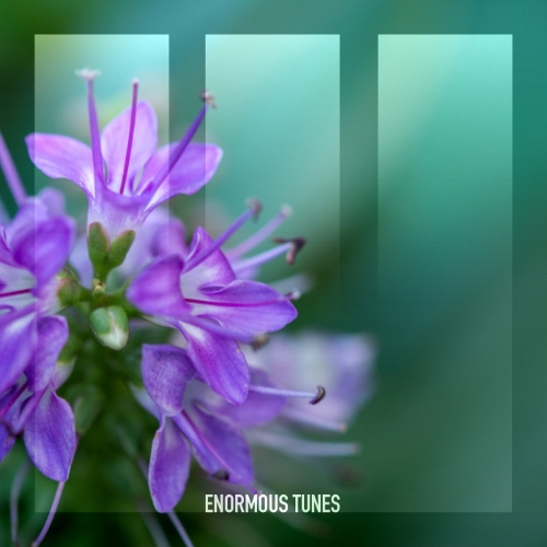 Passenger 10 - Silver Lining (Extended Mix)