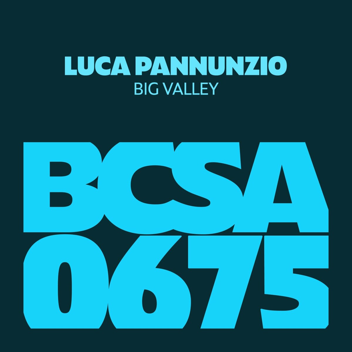 Luca Pannunzio - Big Valley