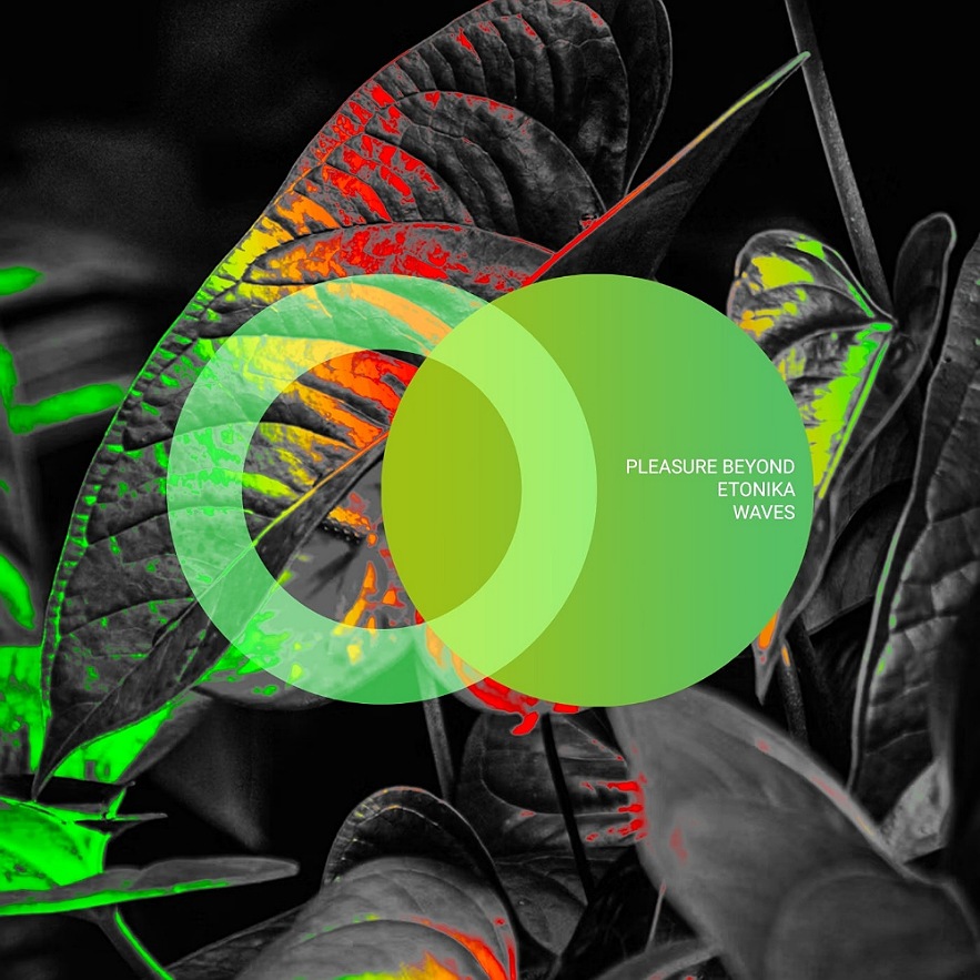 Pleasure Beyond & Etonika - Waves (Original Mix)