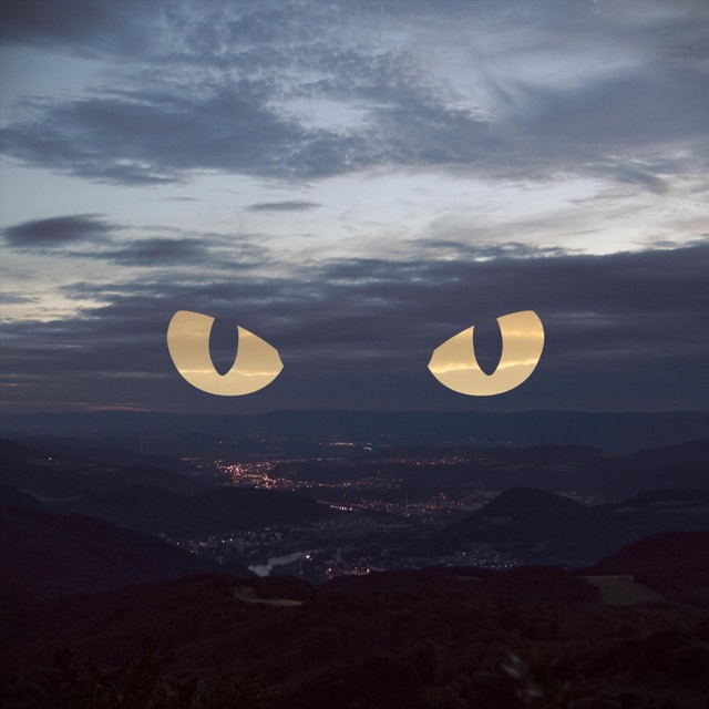 Noctucat - Unfaded