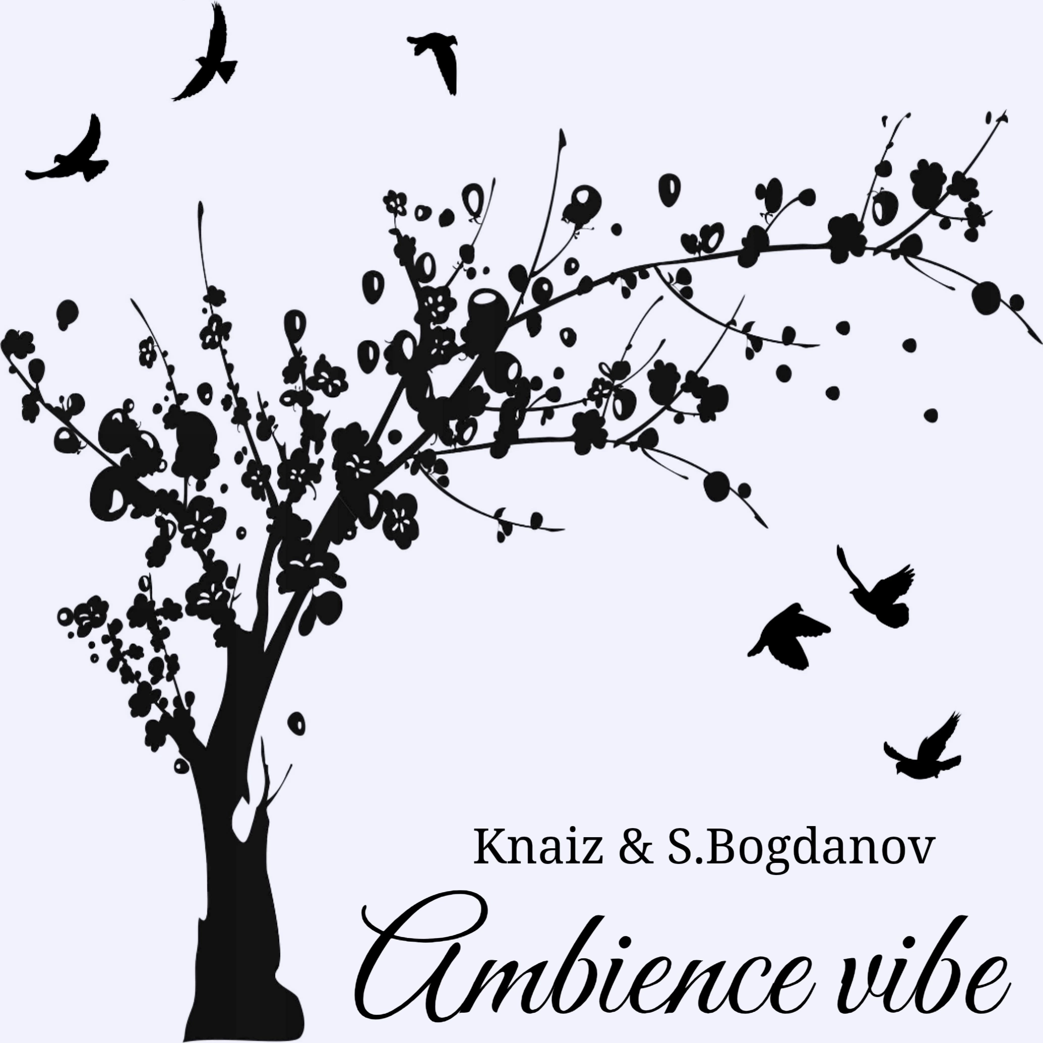 Knaiz & S.Bogdanov - Ambience Vibe