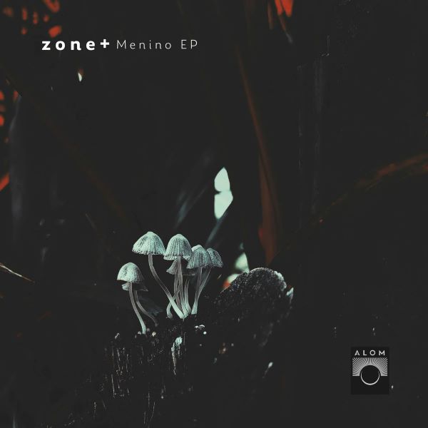 Zone+ - Menino (Original Mix)