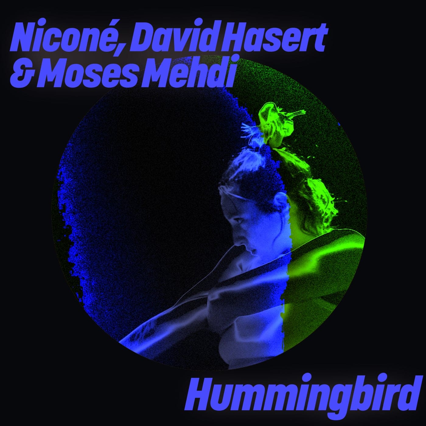 Niconé, David Hasert, Moses Mehdi - Hummingbird (Original Mix)