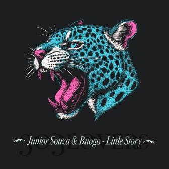 Junior Souza - Ladies (Extended Mix)