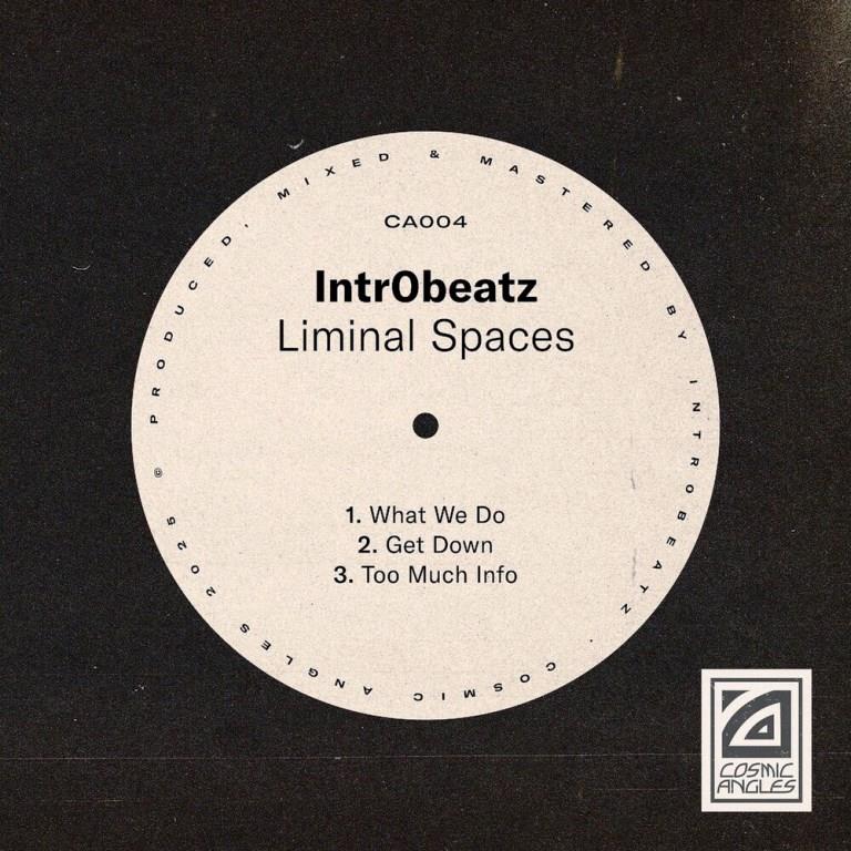 Intr0beatz - What We Do