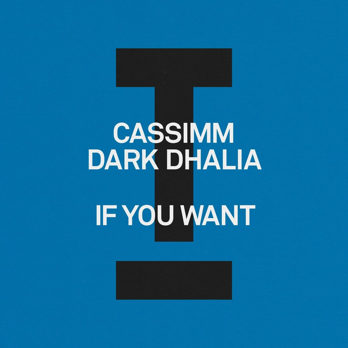 CASSIMM, Dark Dhalia - If You Want (Extended Mix)