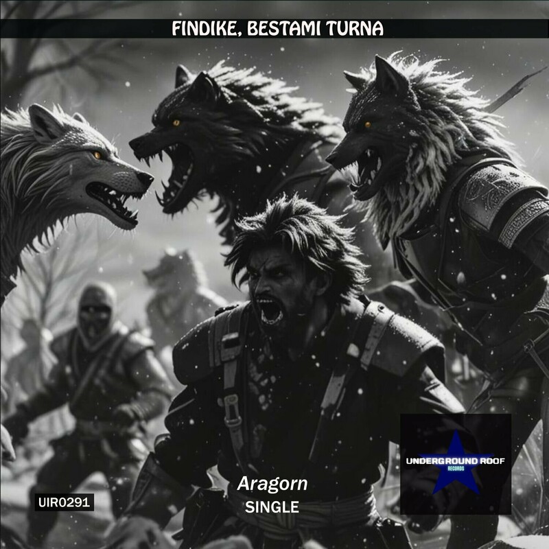 Bestami Turna & Findike - Aragorn (Original Mix)