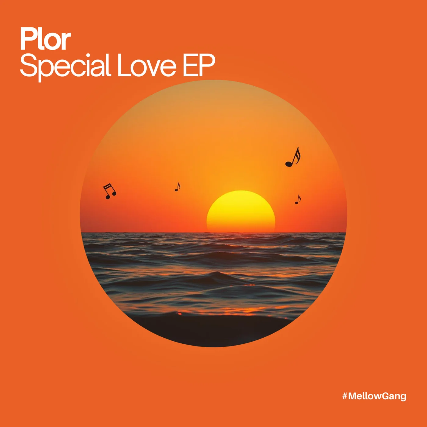 Plor - I Feel It Right (Original Mix)