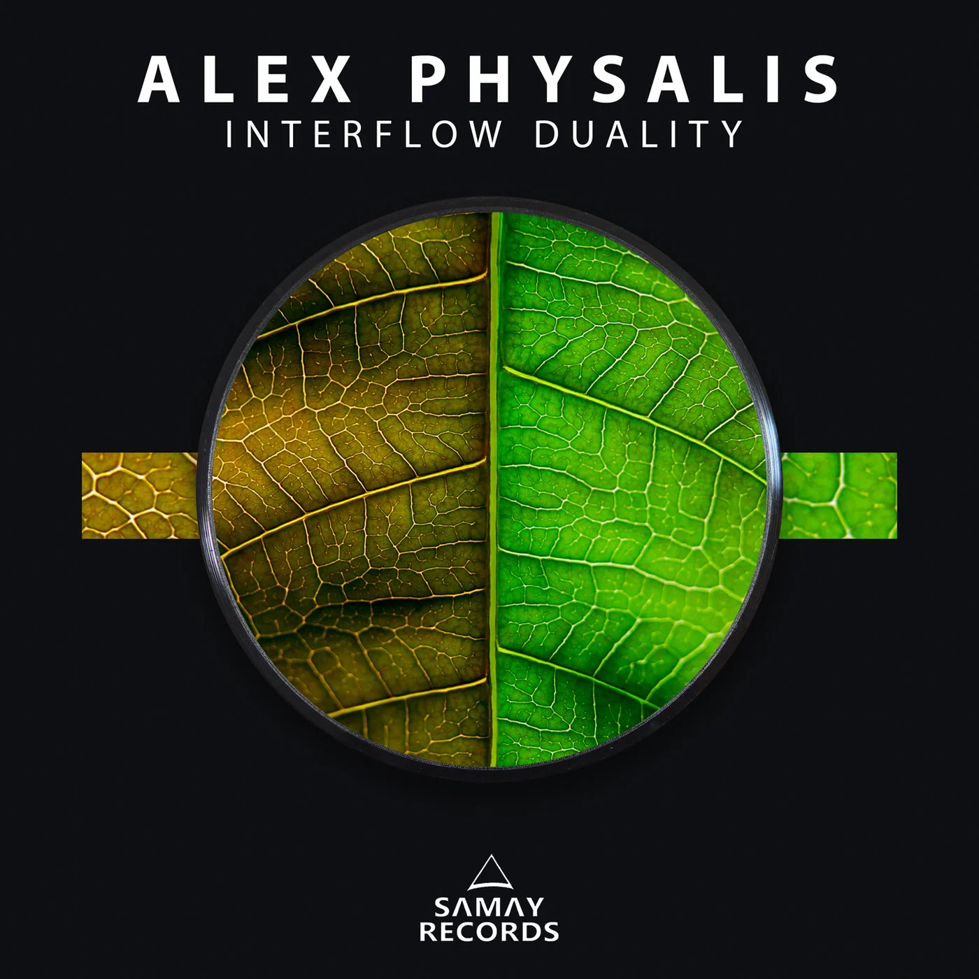 Alex Physalis – Interflow Duality (Original Mix)