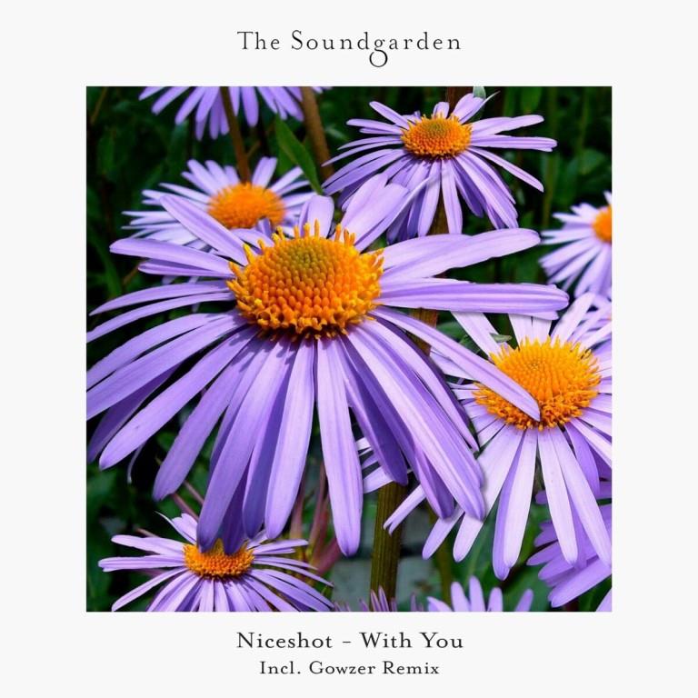 Niceshot - With You (Extended Mix)