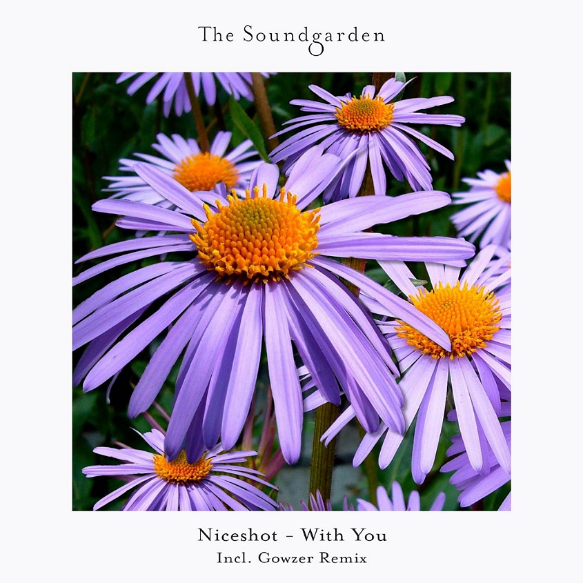 Niceshot - With You (Gowzer Extended Remix)