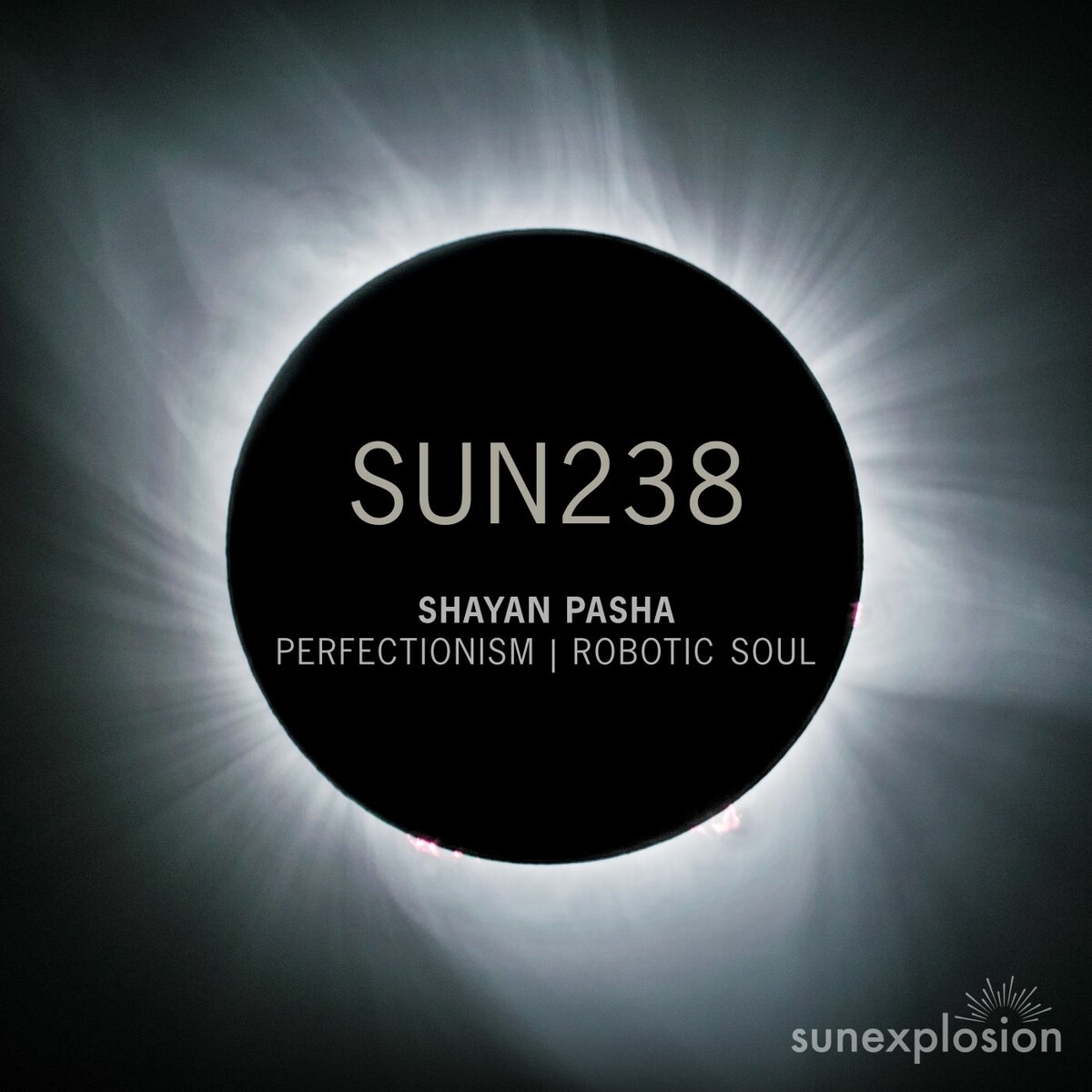 Shayan Pasha - Robotic Soul (Original Mix)