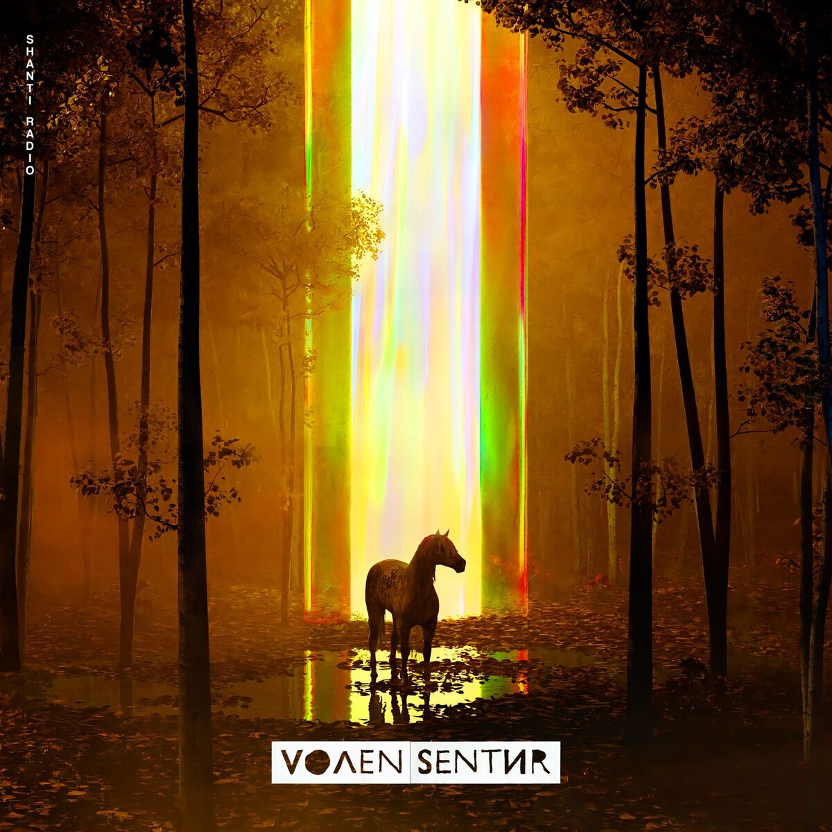 Volen Sentir - Havada (Original Mix)