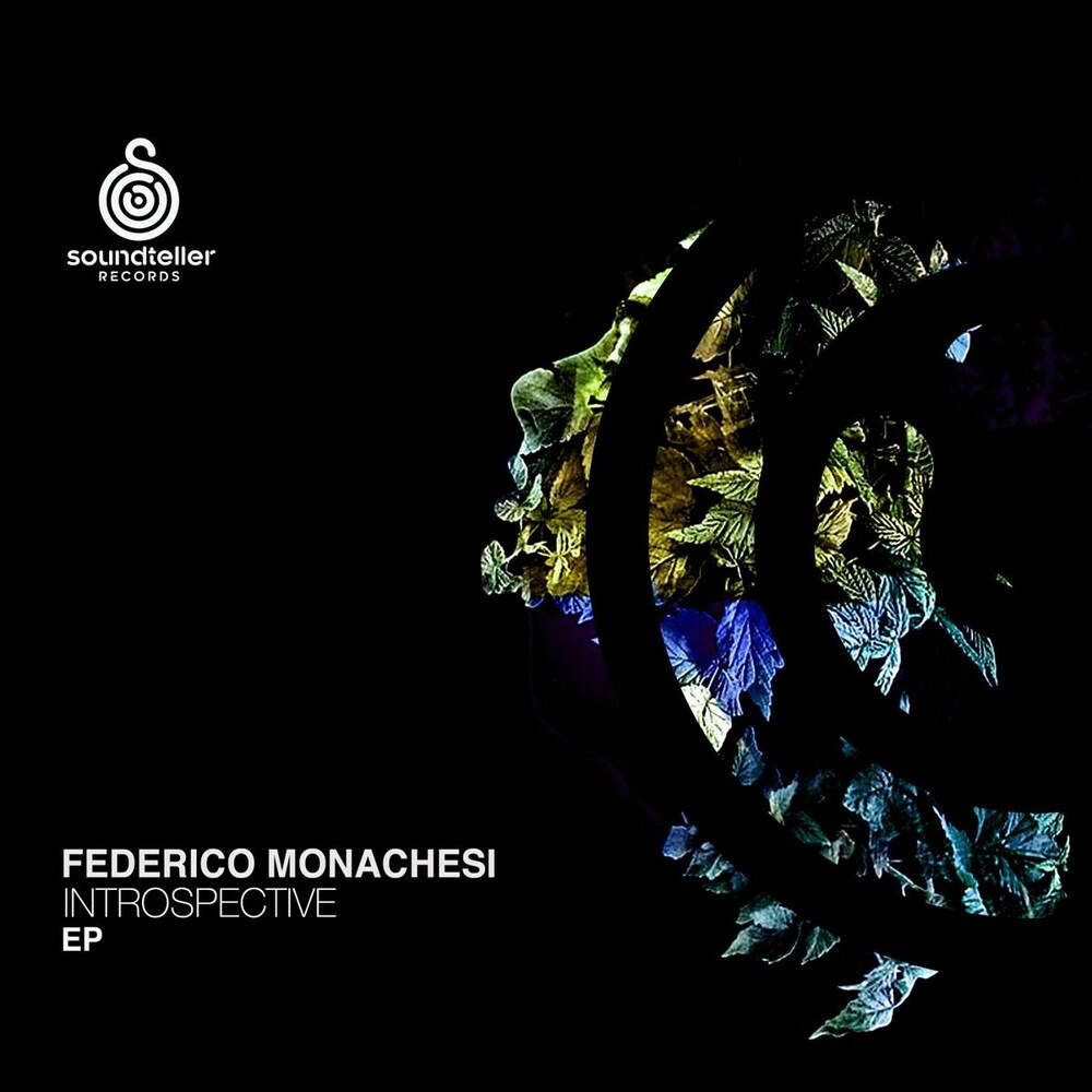 Federico Monachesi - Introspective (Original Mix)