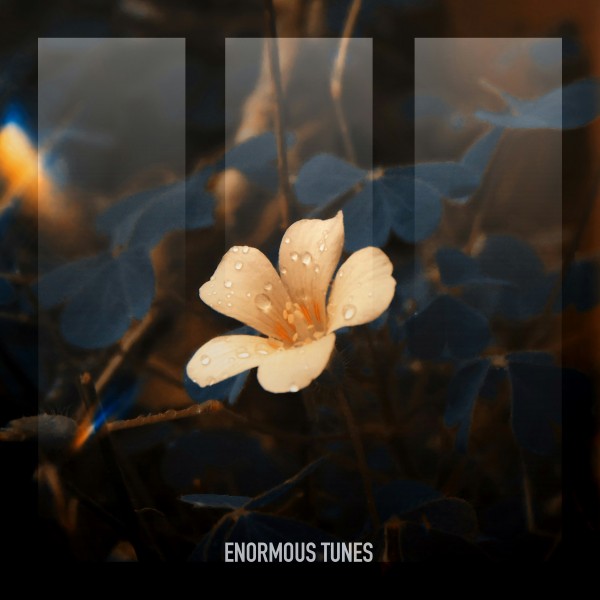 Passenger 10, MaMan - Bloom in the Ashes (Extended Intro Mix)