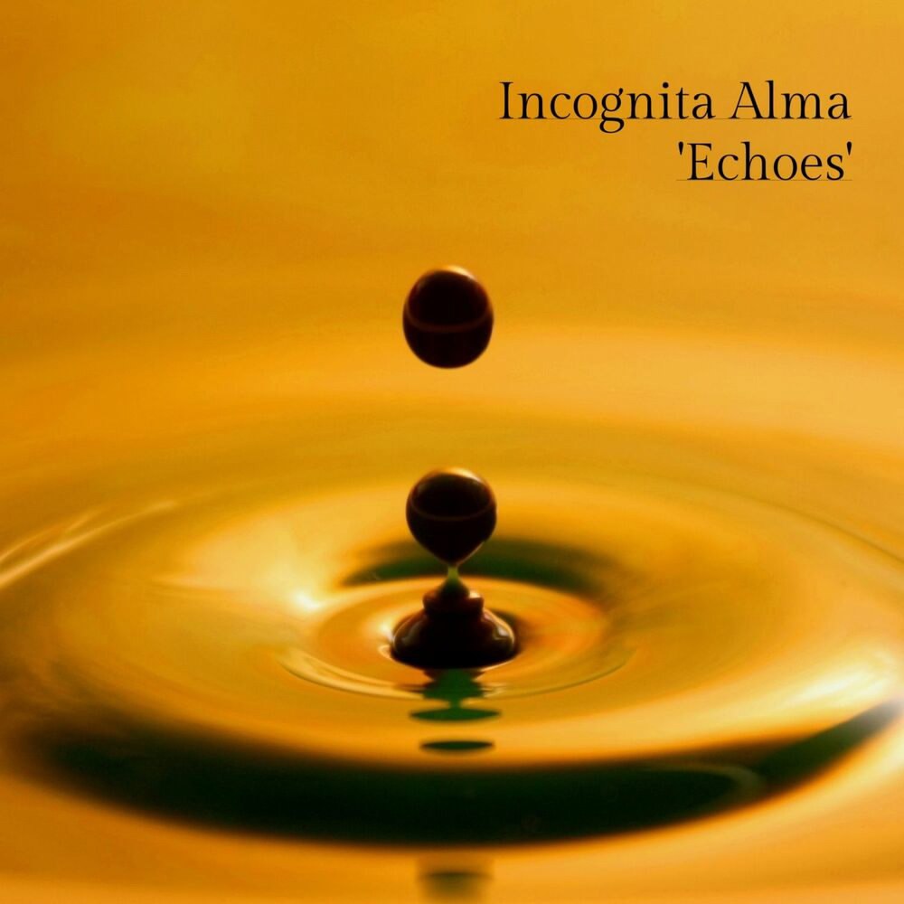 Incognita Alma, Meditelectro - Echoes (Original Mix)