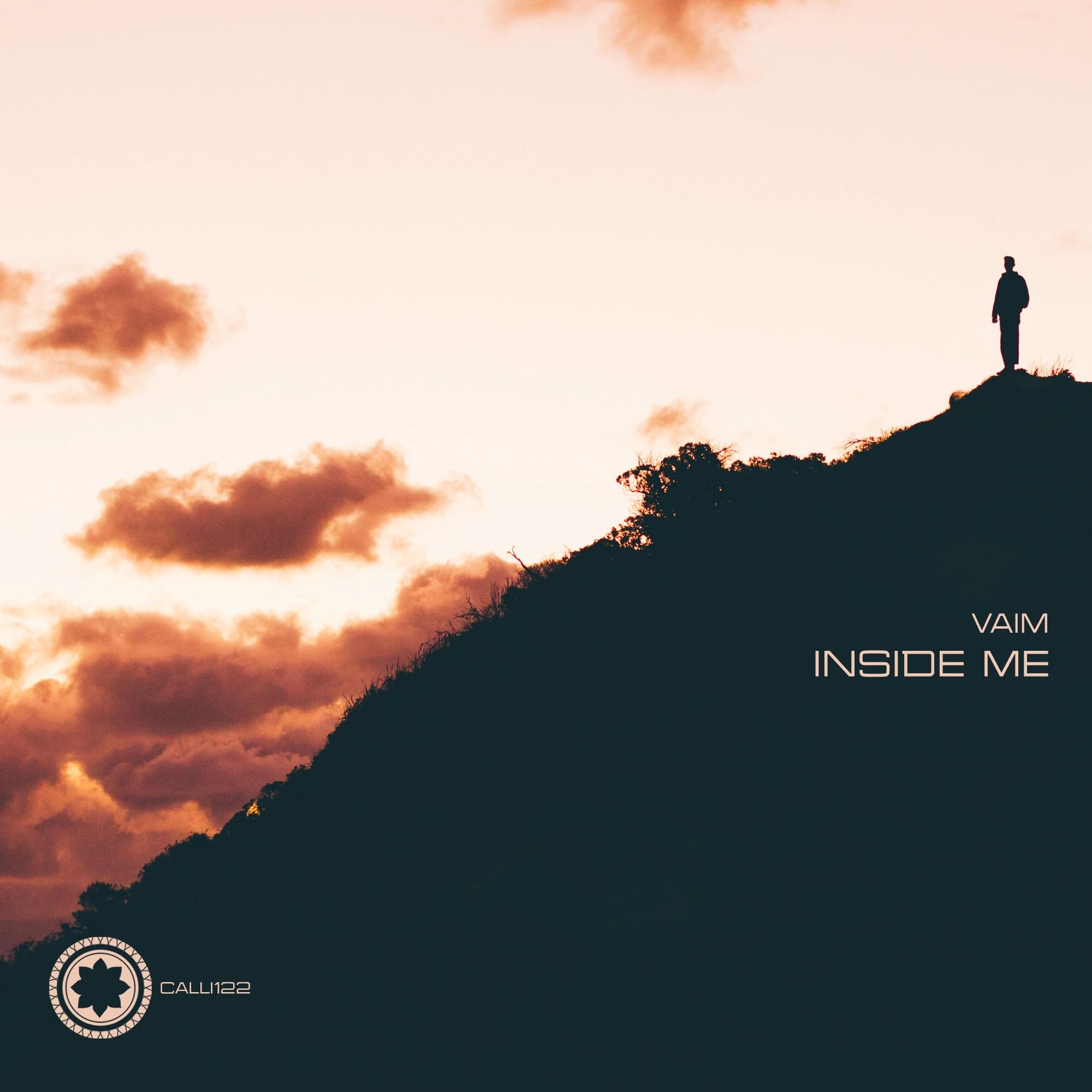 Vaim - Fast (Original Mix)