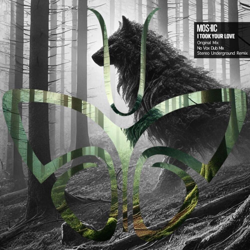 MOSHIC - I Took Your Love (Original Mix)