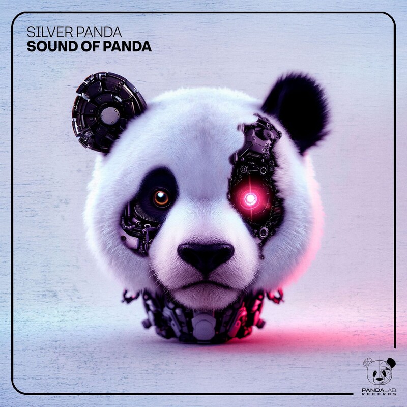 Silver Panda - Sound of Panda (Extended Mix)