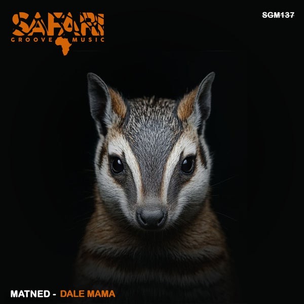Matned - Ready (Original Mix)