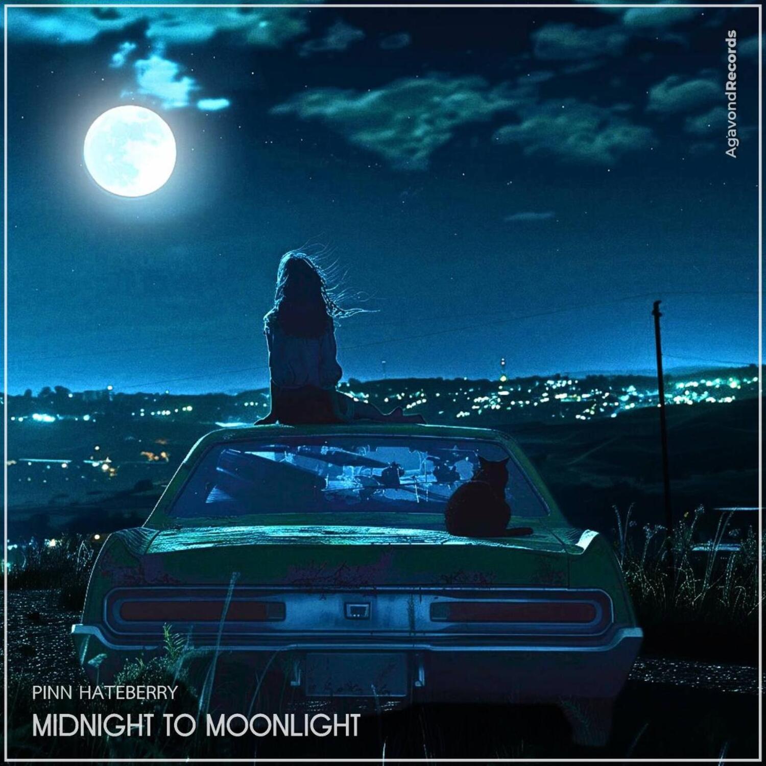 Pinn HateBerry - Midnight To Moonlight (Original Mix)