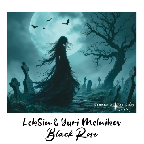 LekSin & Yuri Melnikov - Black Rose (Extended Mix)