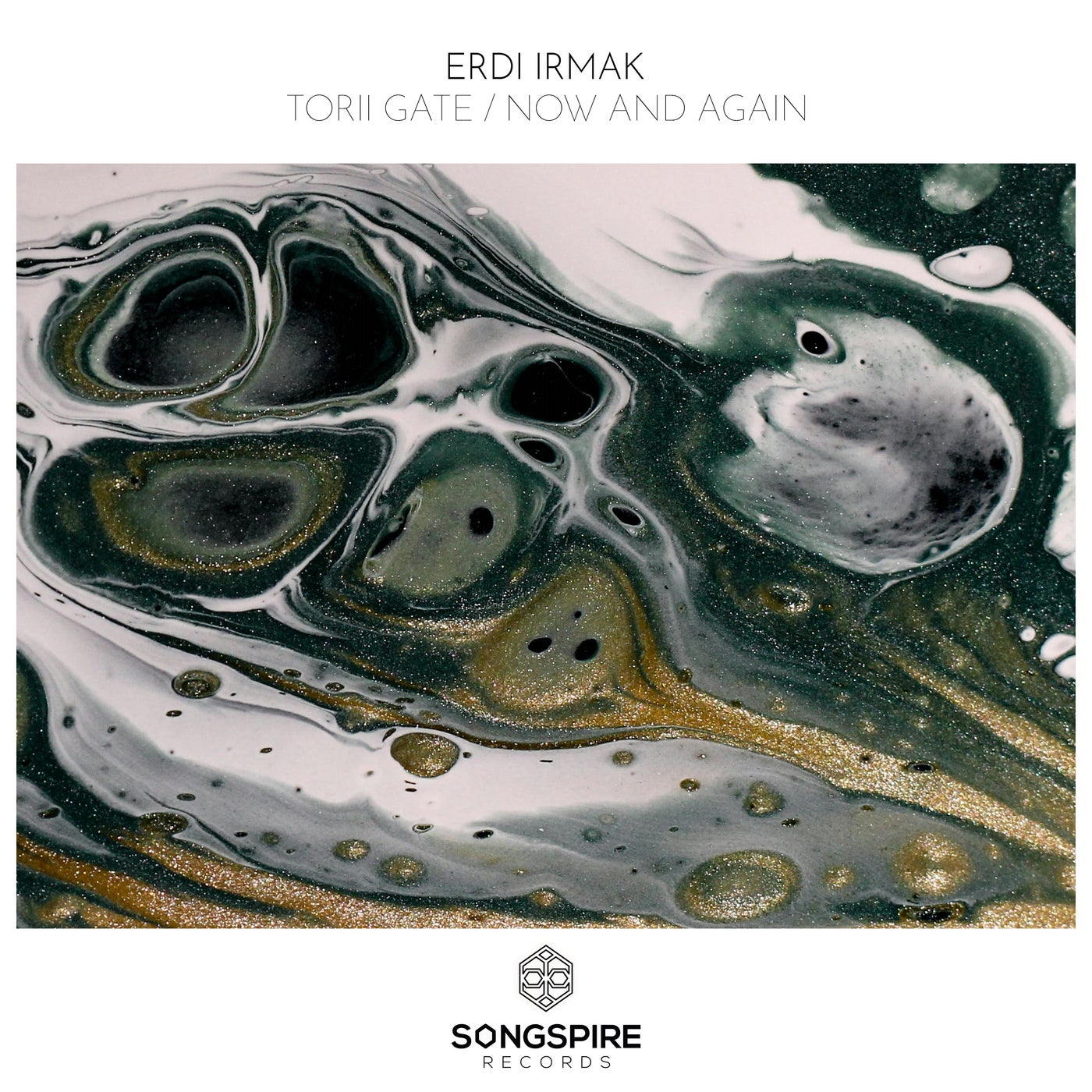 Erdi Irmak - Torii Gate (Original Mix)