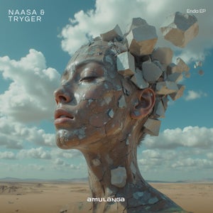 Tryger & NAASA - Enda (Extended Mix)