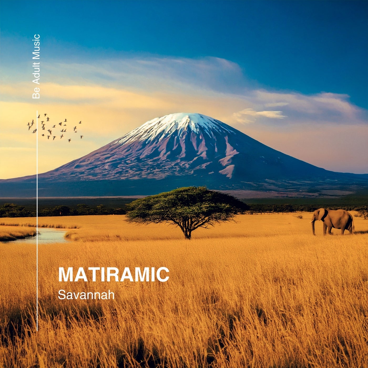 MATIRAMIC - Loxodonta (Original Mix)