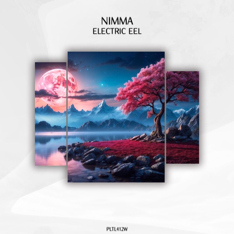 Nimma (SL) - Electric Eel (Original Mix)