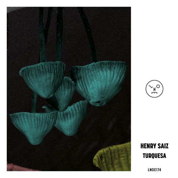 Henry Saiz - Turquesa (Original Mix)