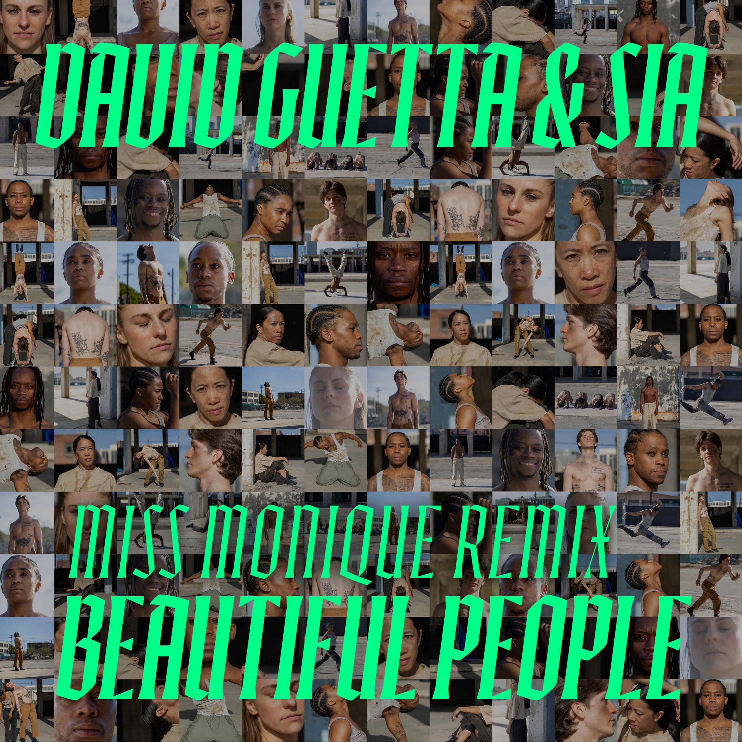 David Guetta & Sia - Beautiful People (Miss Monique Extended Remix)