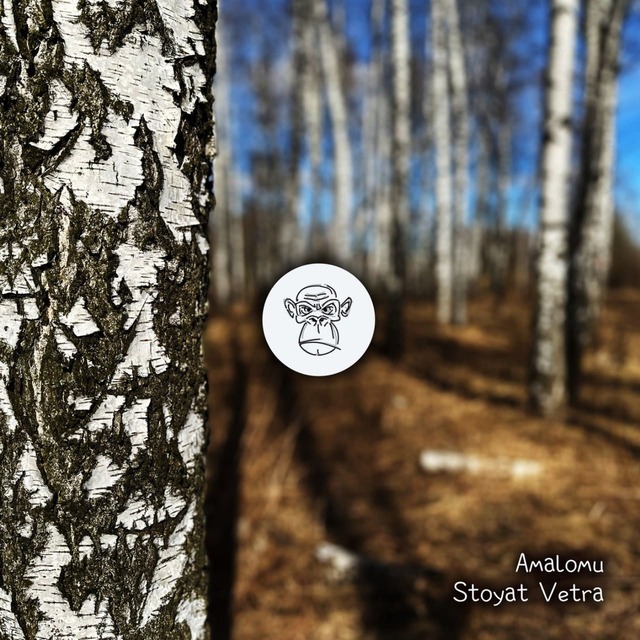 Amalomu - Stoyat Vetra (Extended Mix)