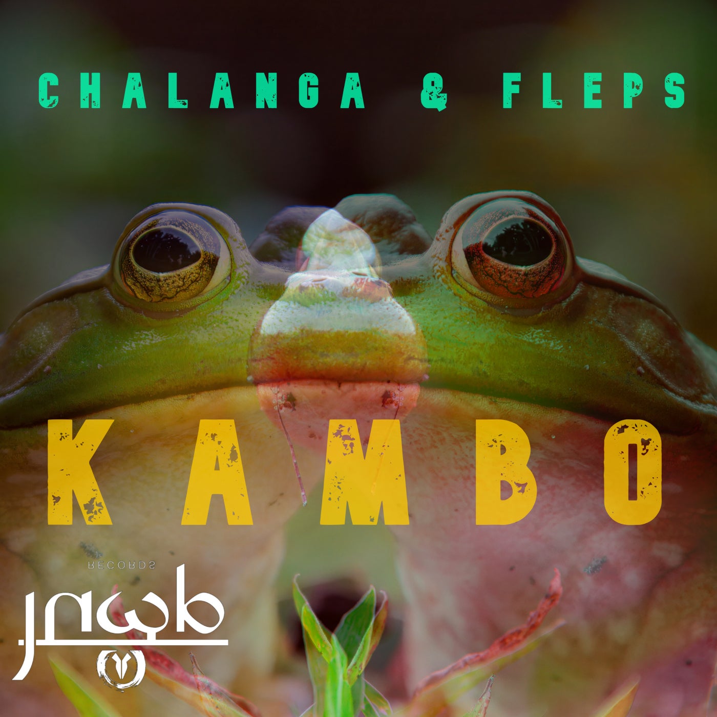 Chalanga & Fleps - Kambo (BALARAMA Remix)