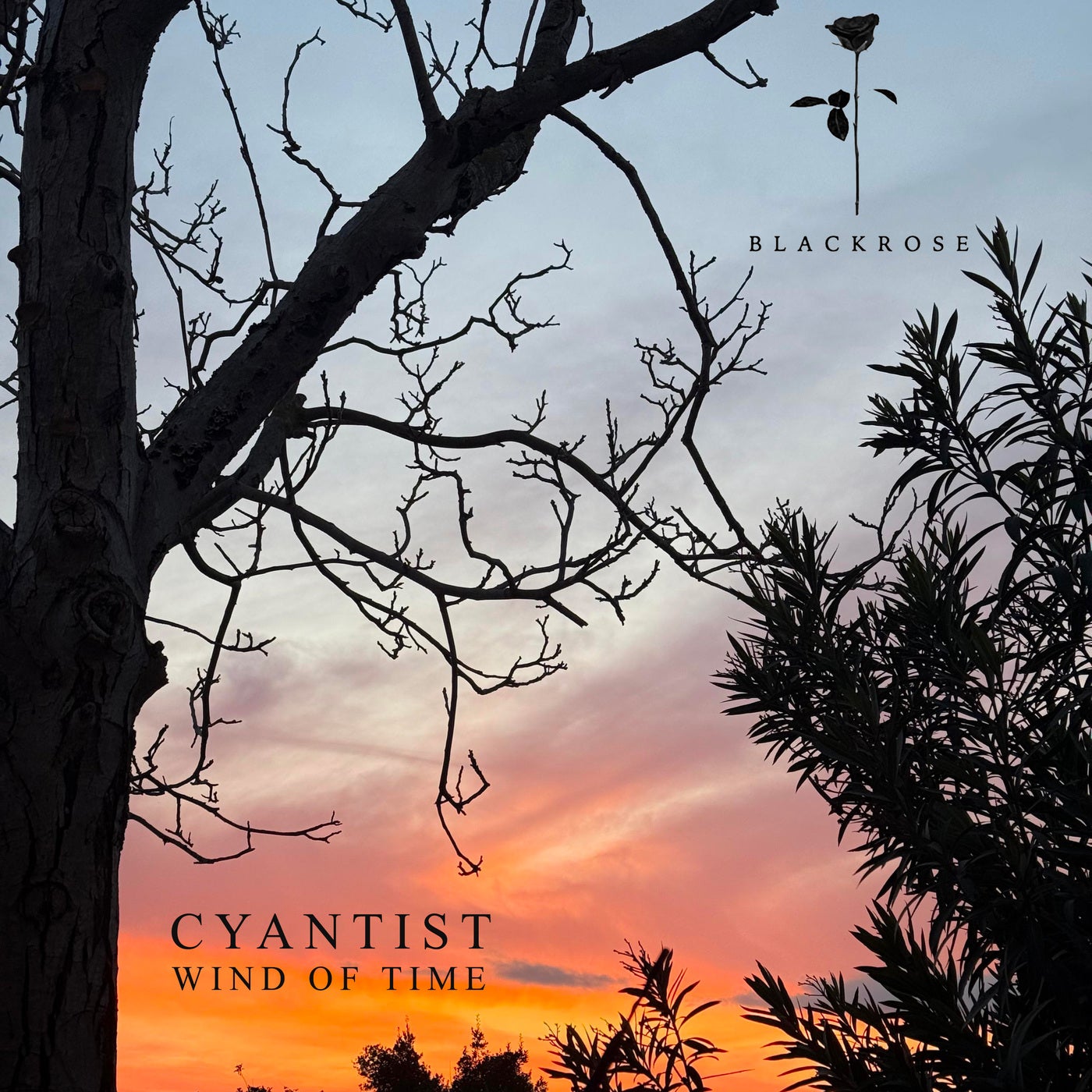 Cyantist, pragma, Mr.Main - Wind of Time