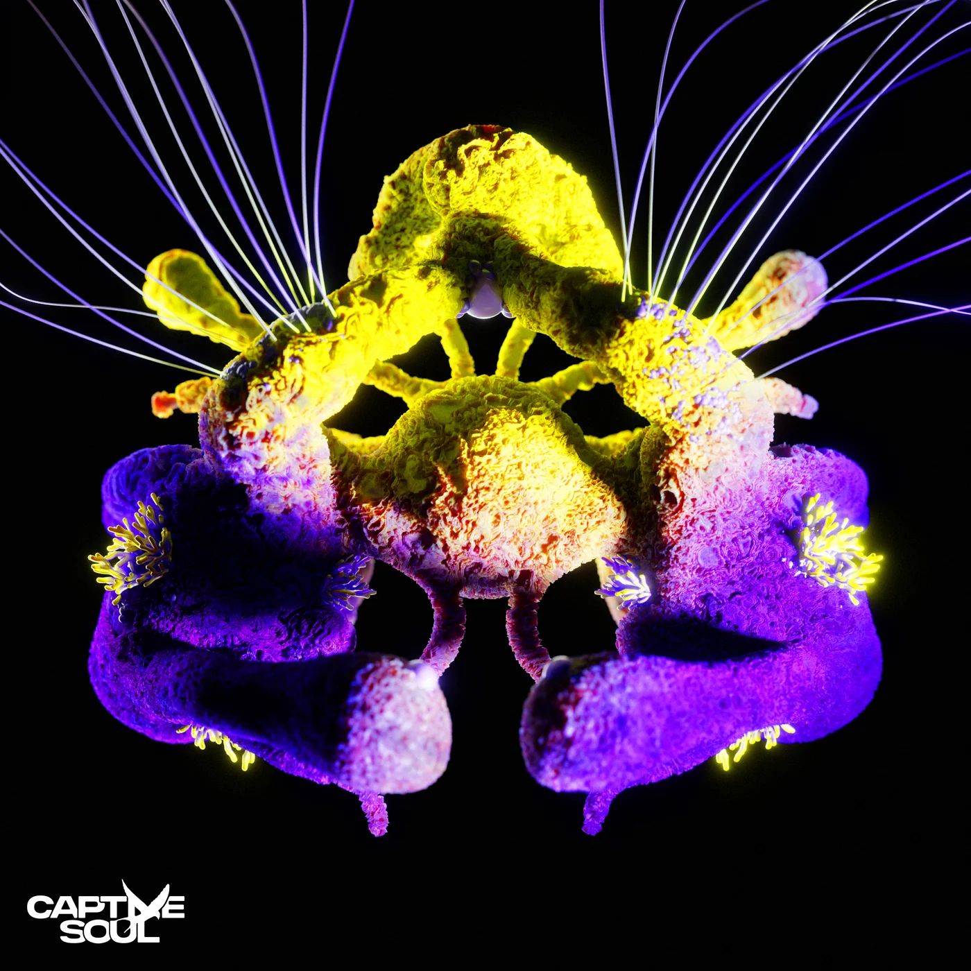 TH;EN & Carlo Whale - Fragments of Light (Extended Mix)